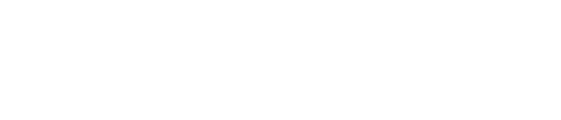 navonex Logo
